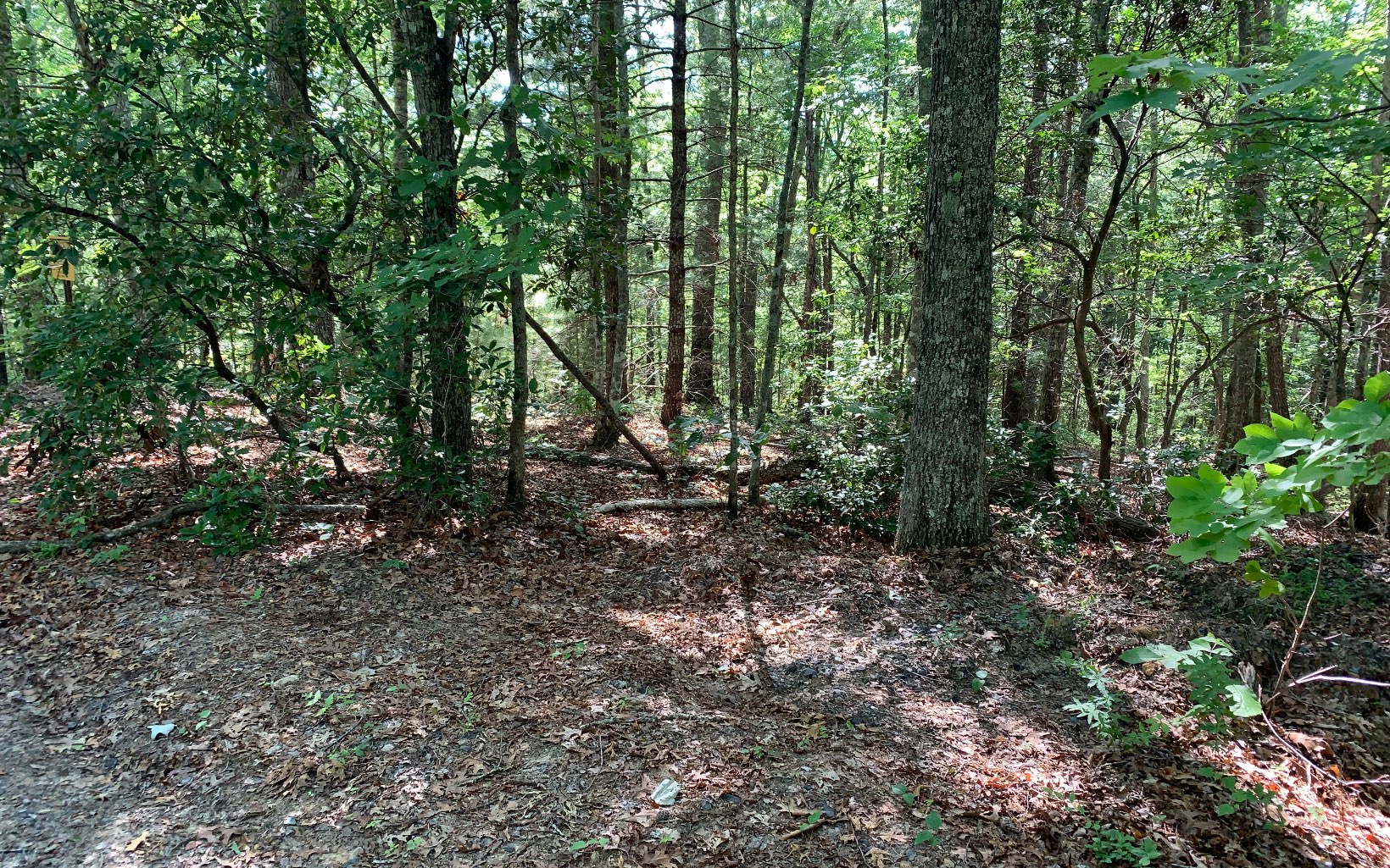 317033 Murphy
 Land