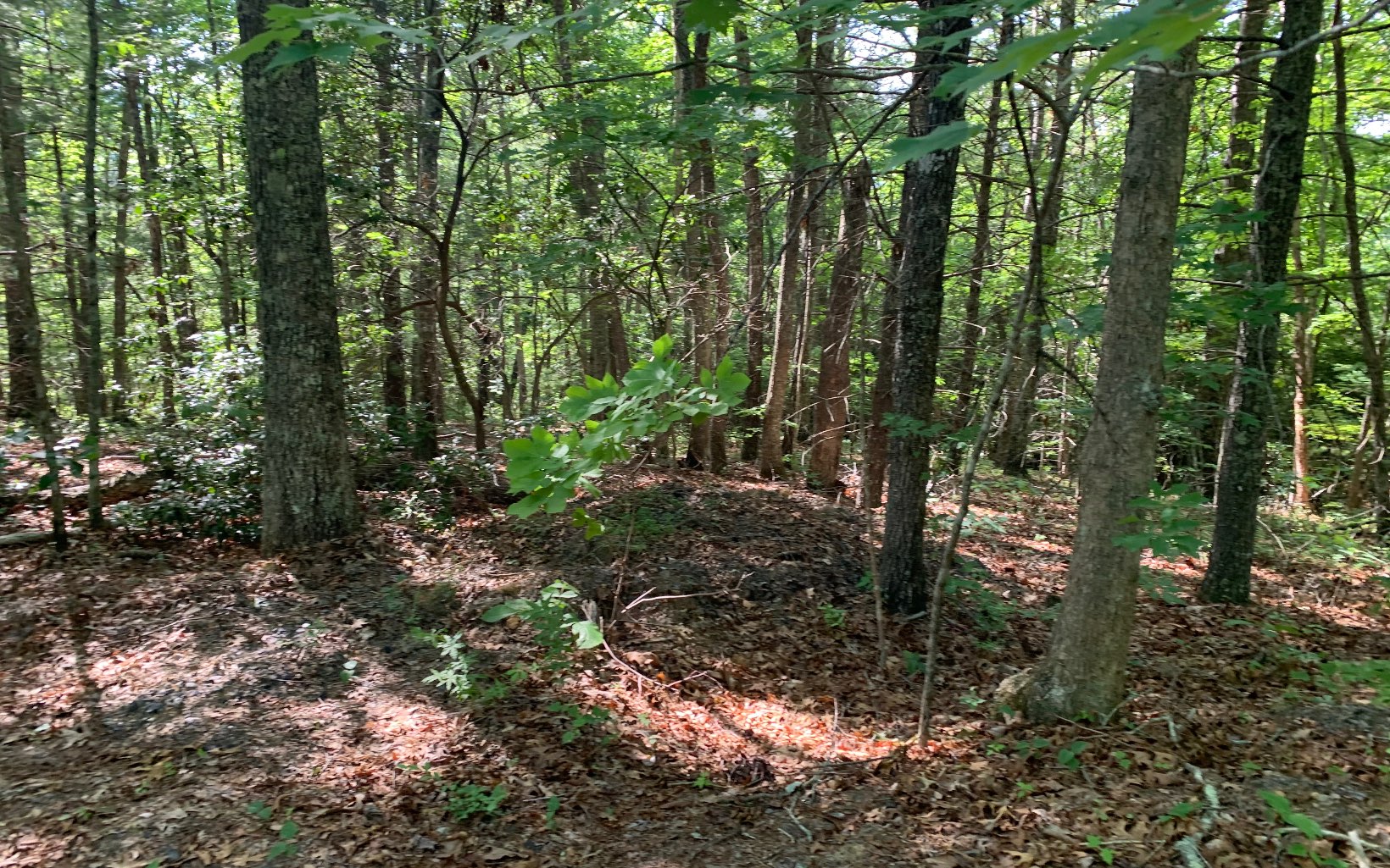 317033 Murphy
 Land