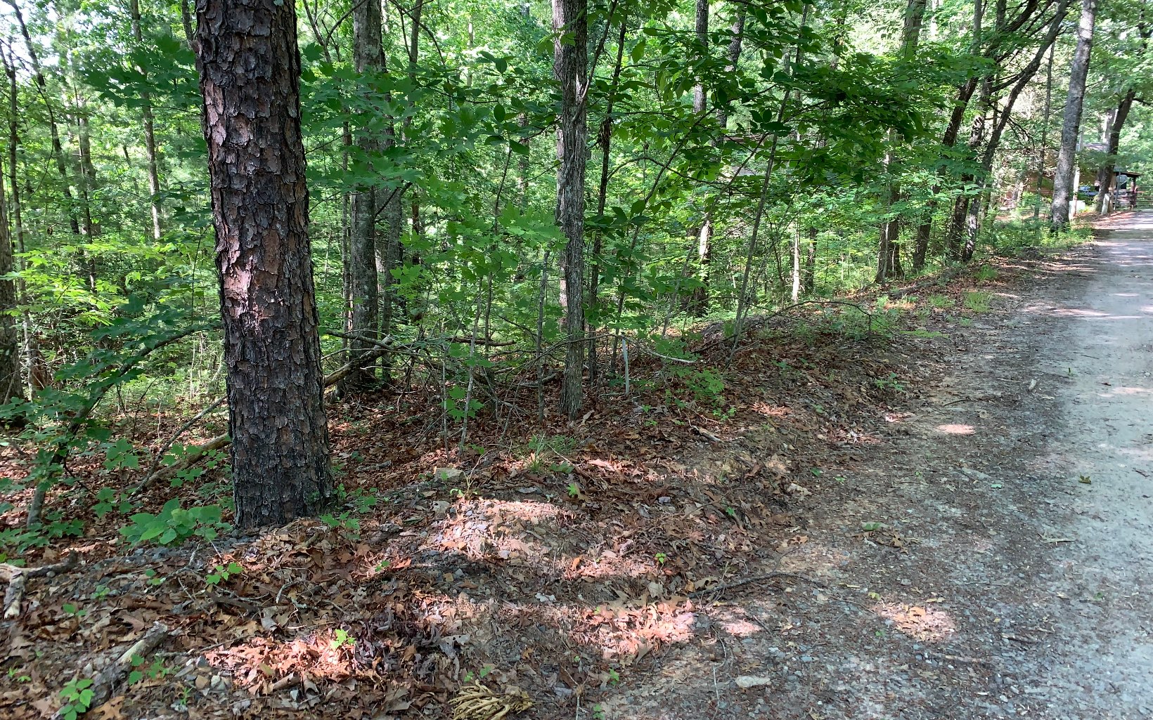317033 Murphy
 Land