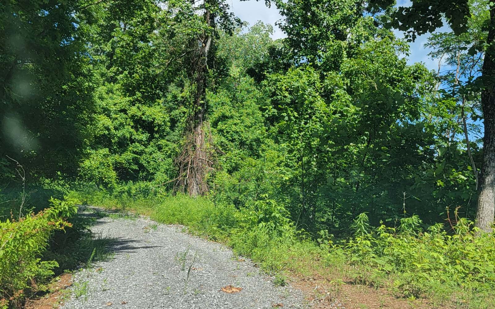 317175 Road Land