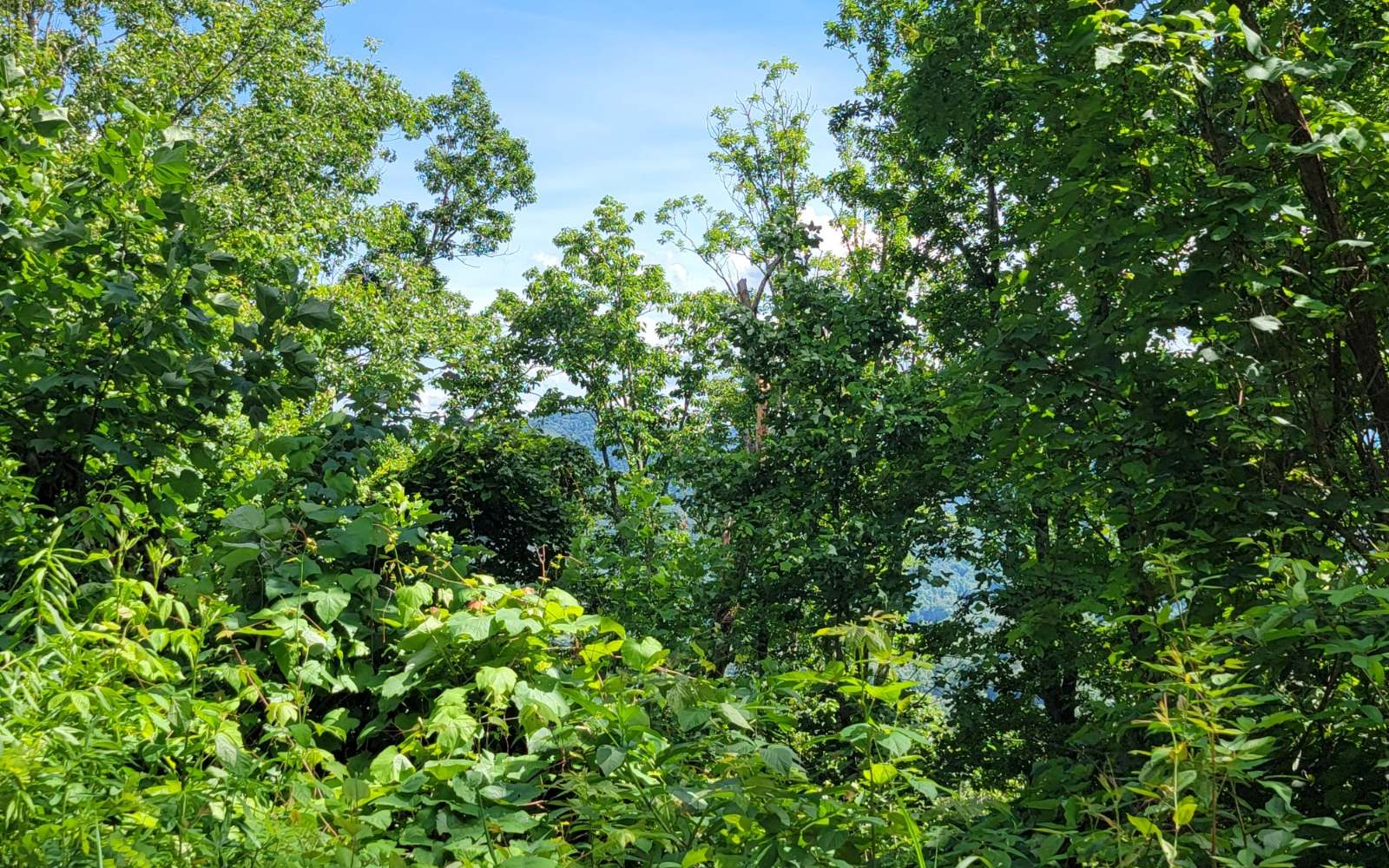 317175 Road Land