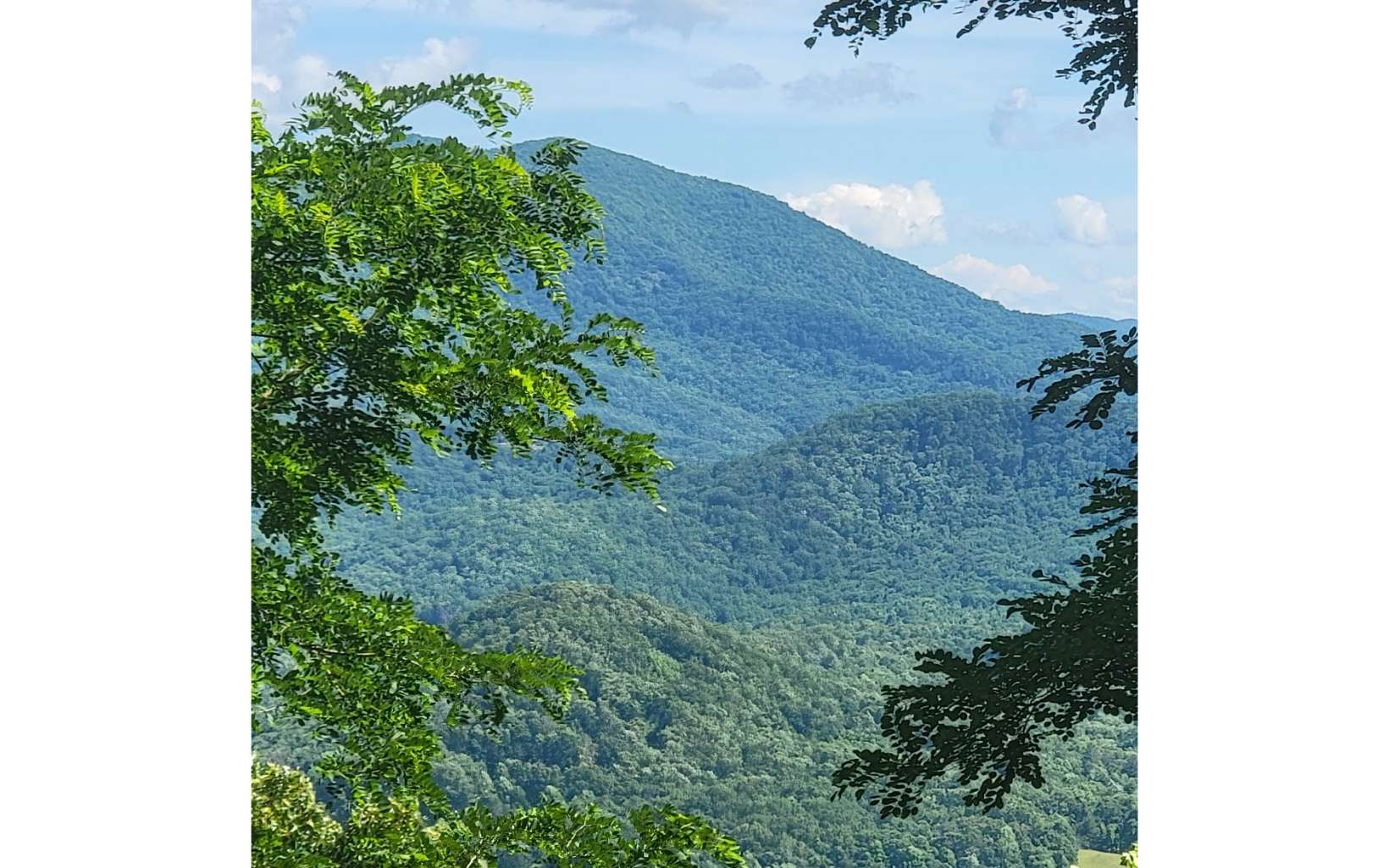 317175 Road Land