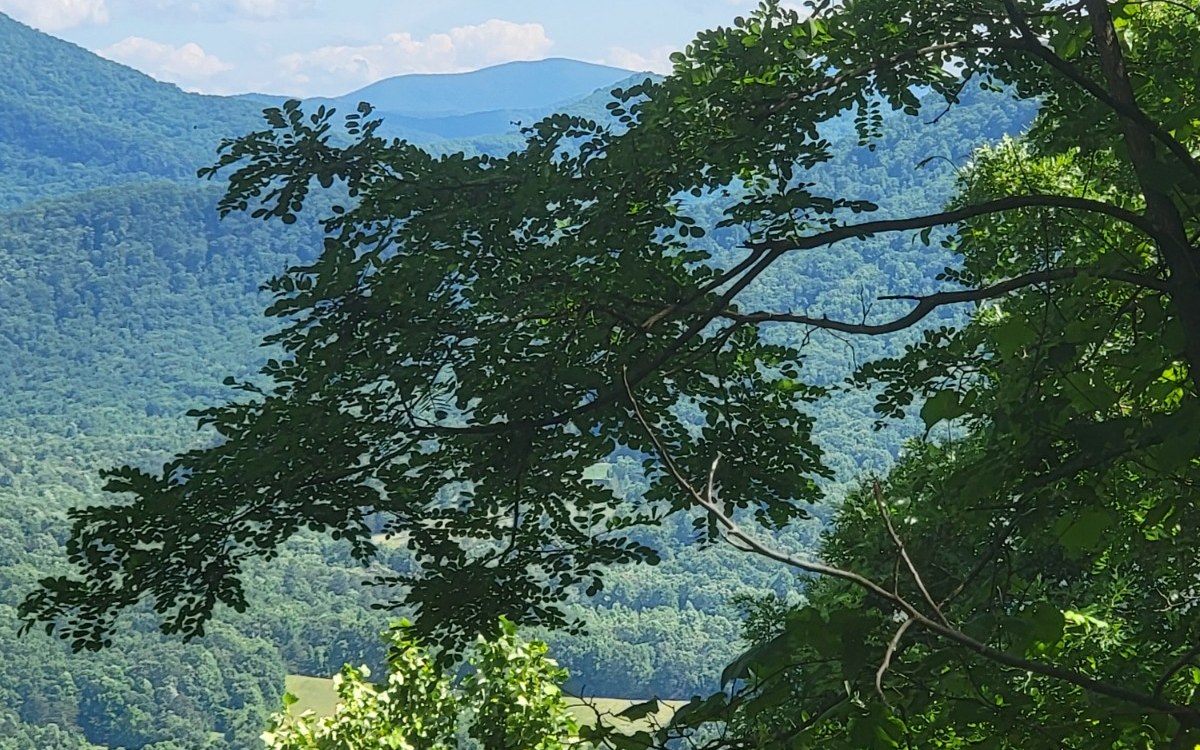 317175 Road Land