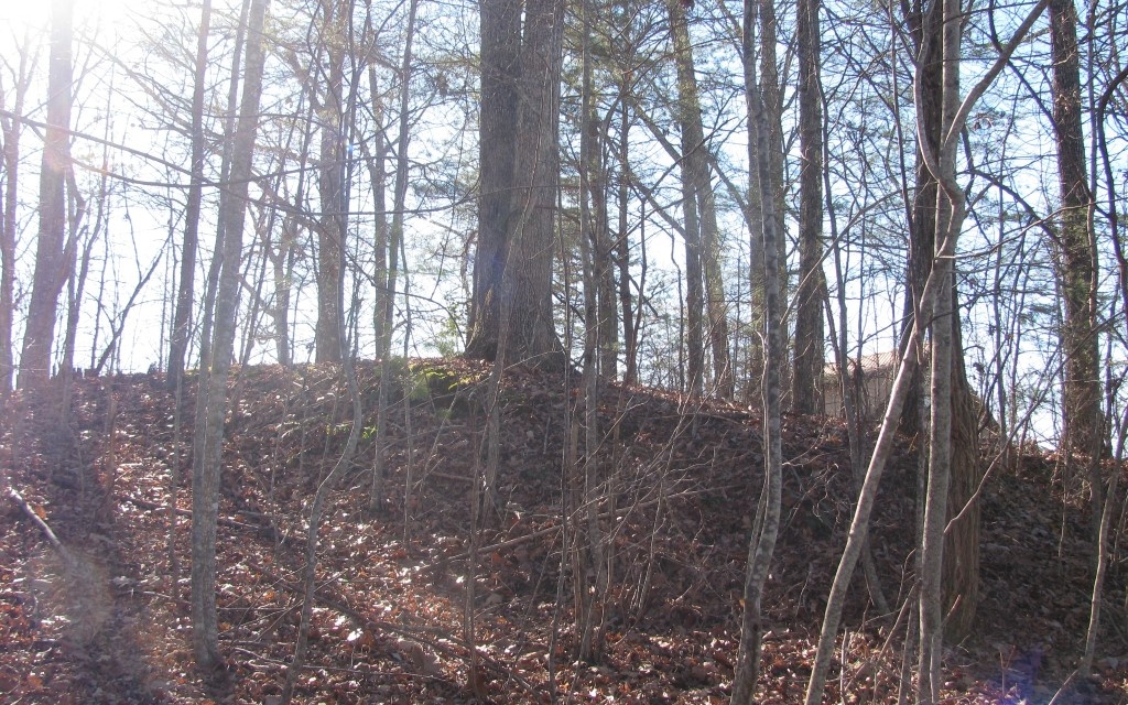 318691 Young Harris Land