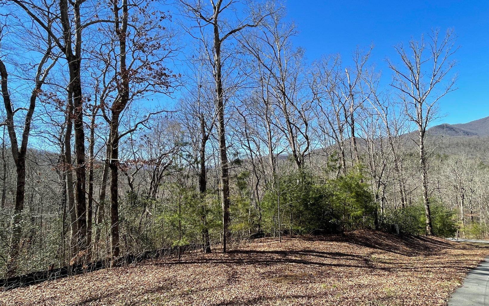 320230 Hiawassee Land