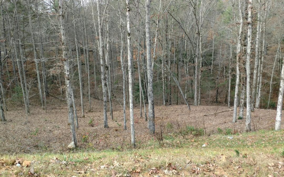 321088 Ellijay Land