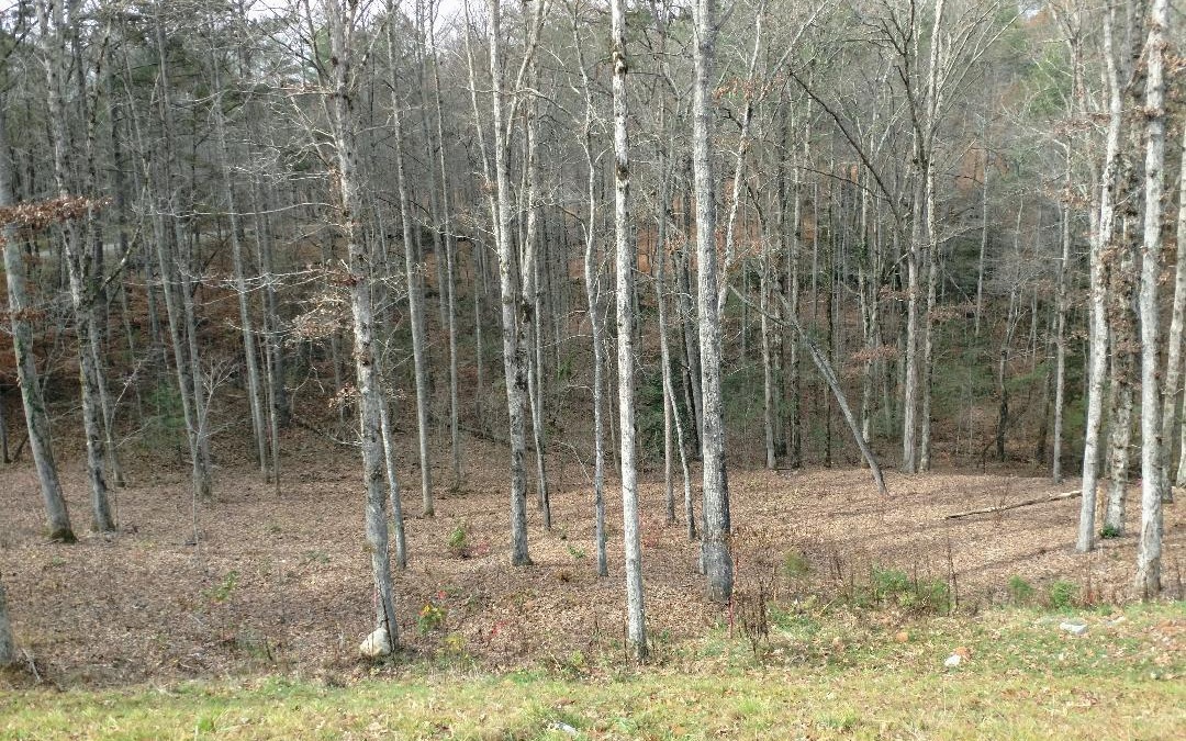 321088 Ellijay Land