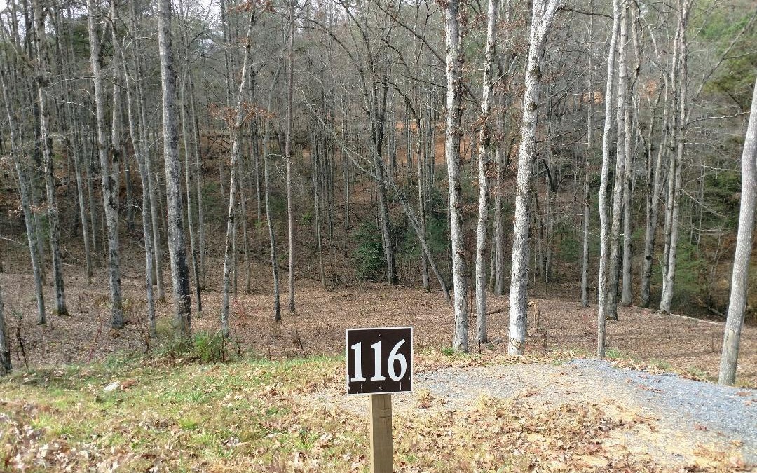 321088 Ellijay Land