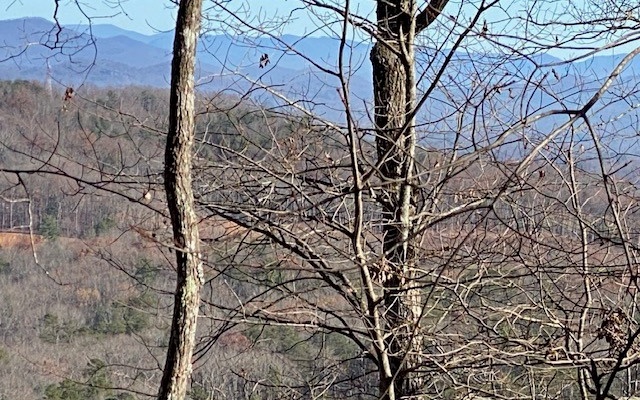 321360 Blue Ridge Land