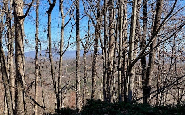 321360 Blue Ridge Land