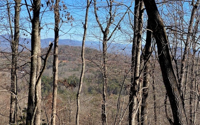 321360 Blue Ridge Land