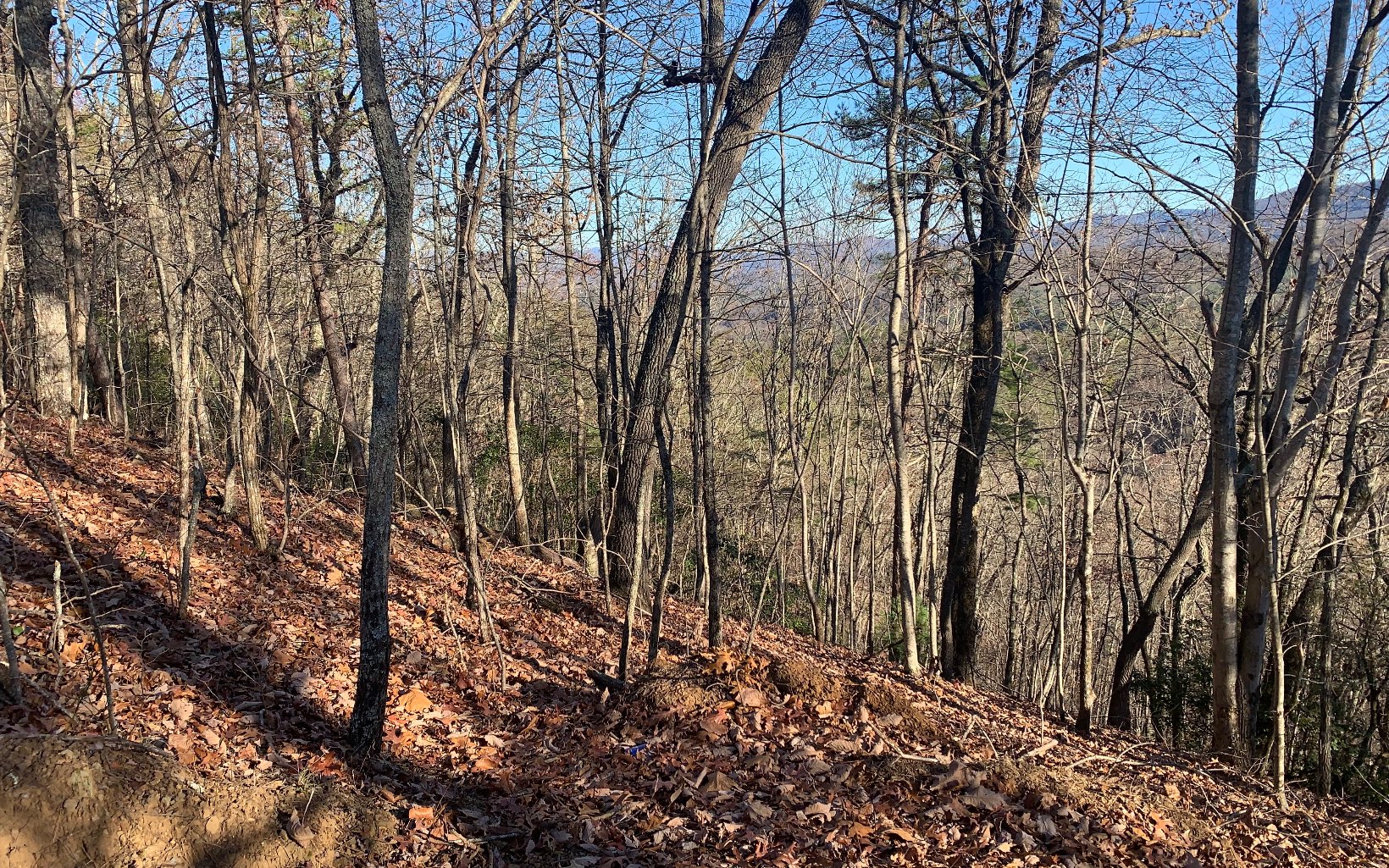 321384  Land