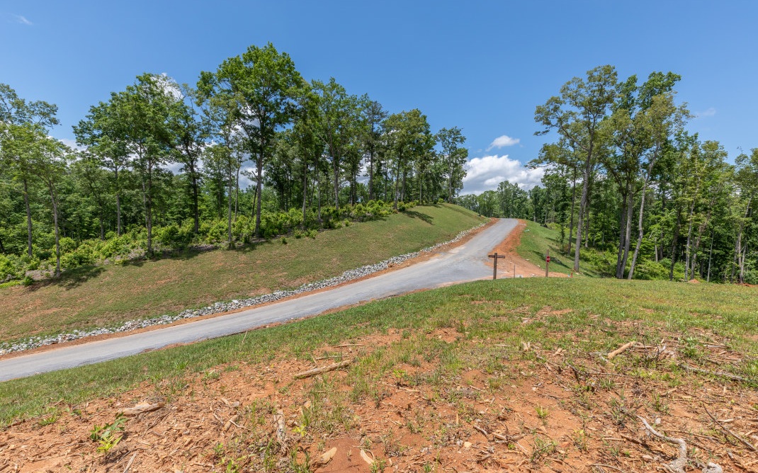 321461 Ellijay Land