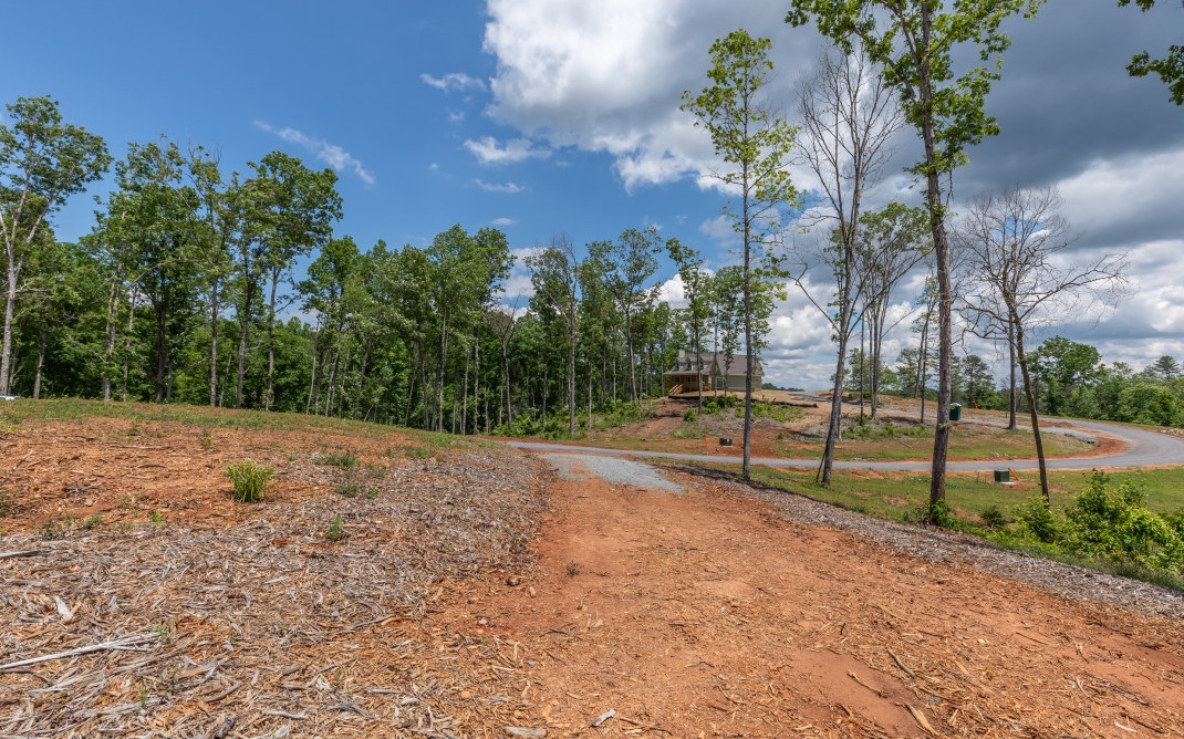 321461 Ellijay Land