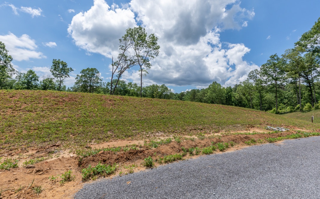 321461 Ellijay Land