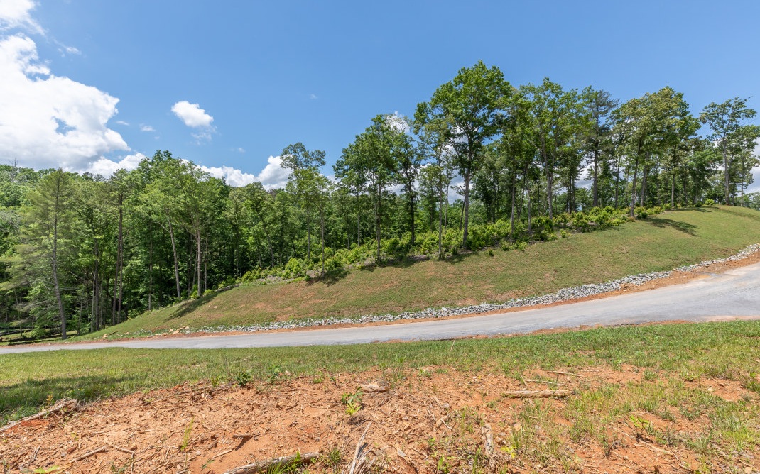 321461 Ellijay Vacant Lot