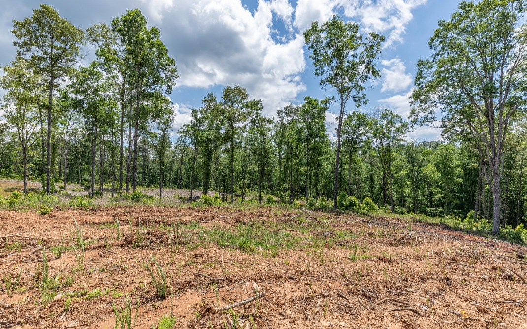 321461 Ellijay Land