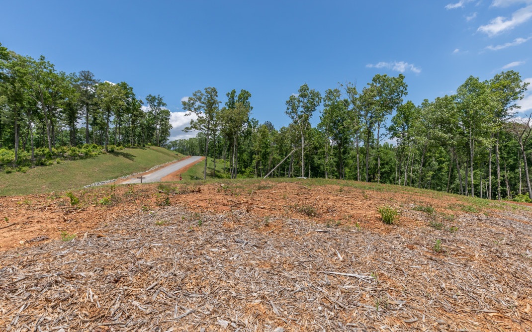 321461 Ellijay Land