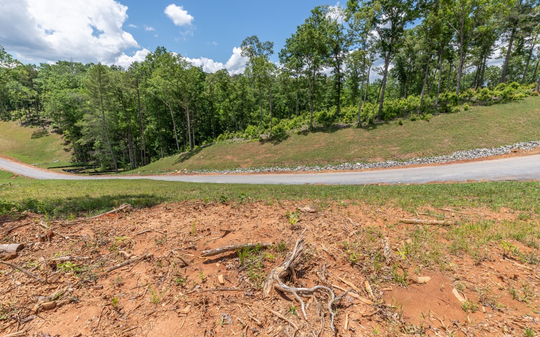 321461 Ellijay Vacant Lot