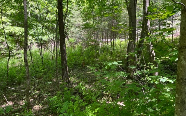 322147 Warne Land