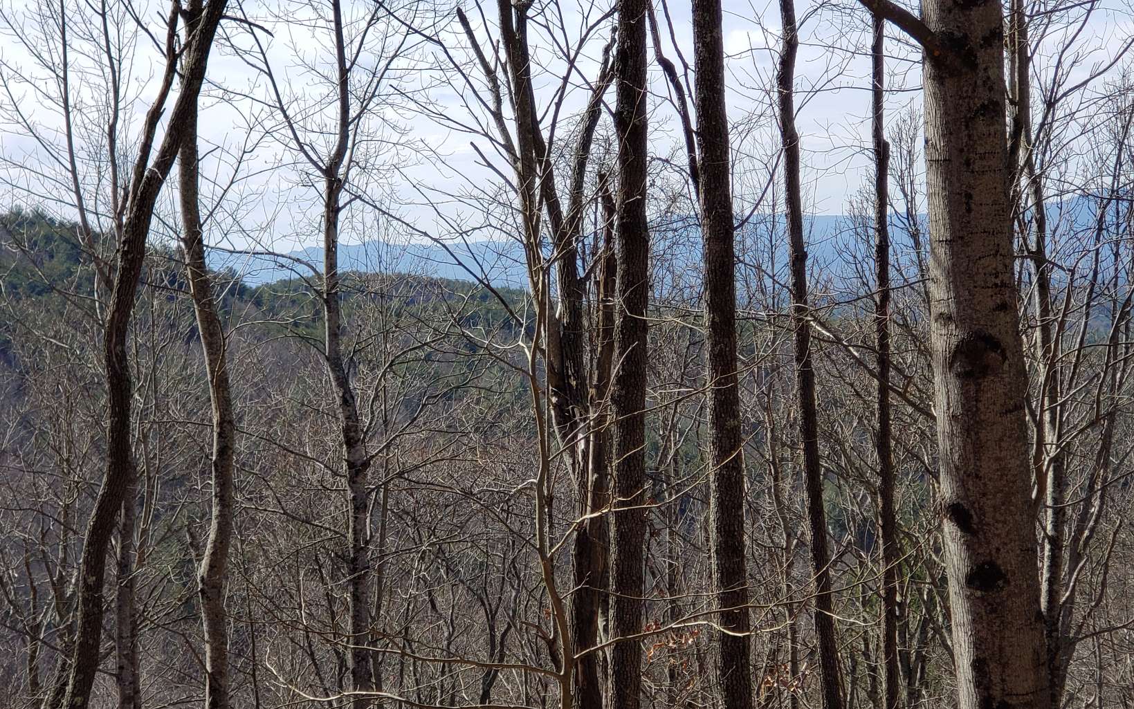 322438 Copperhill Land