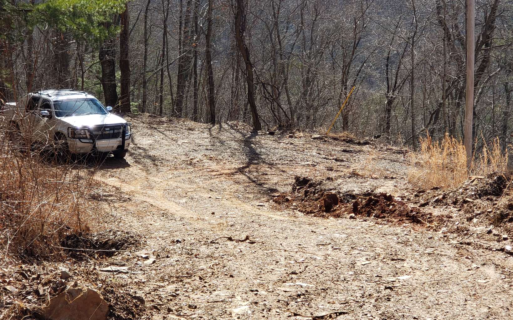 322438 Copperhill Land