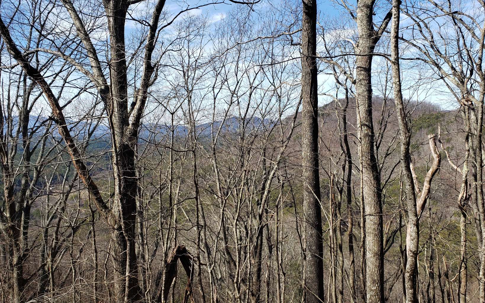 322438 Copperhill Land