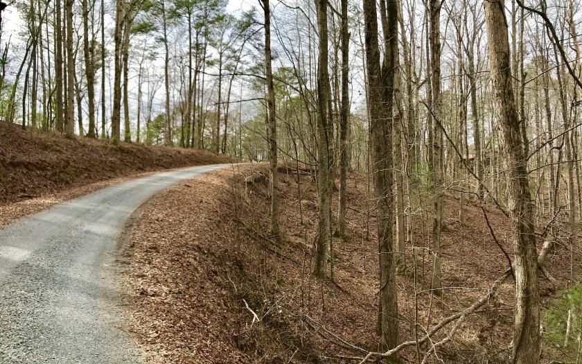 322490 Ellijay Land