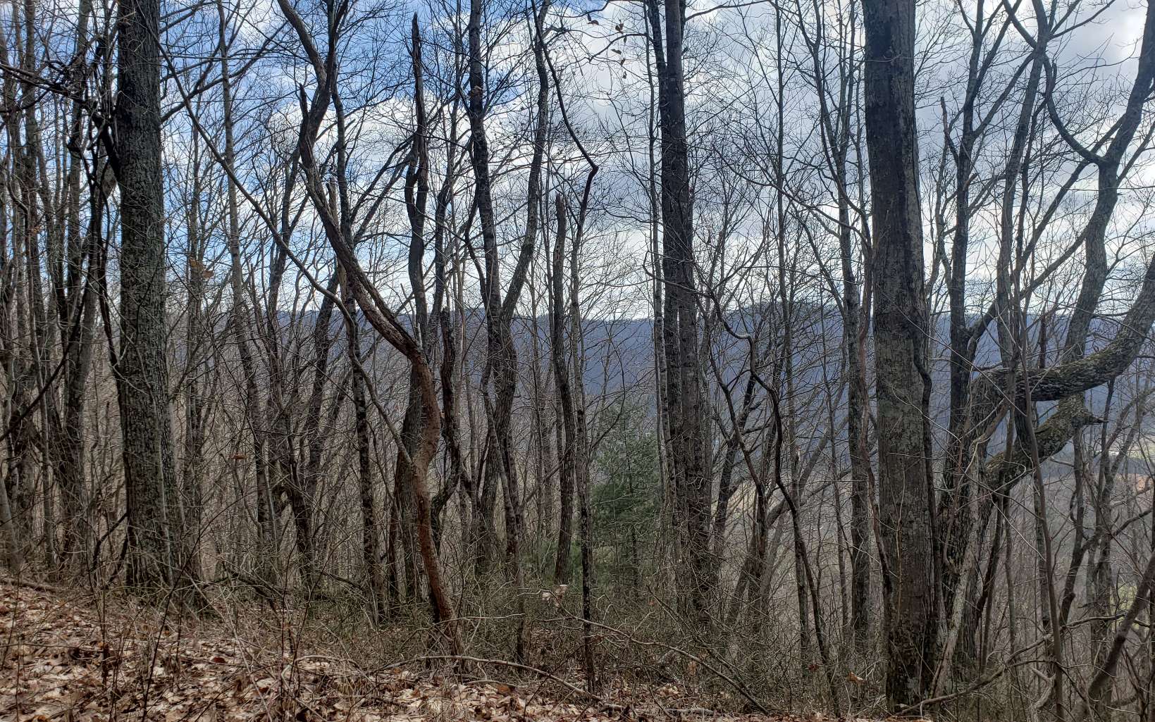 322640 Copperhill Land