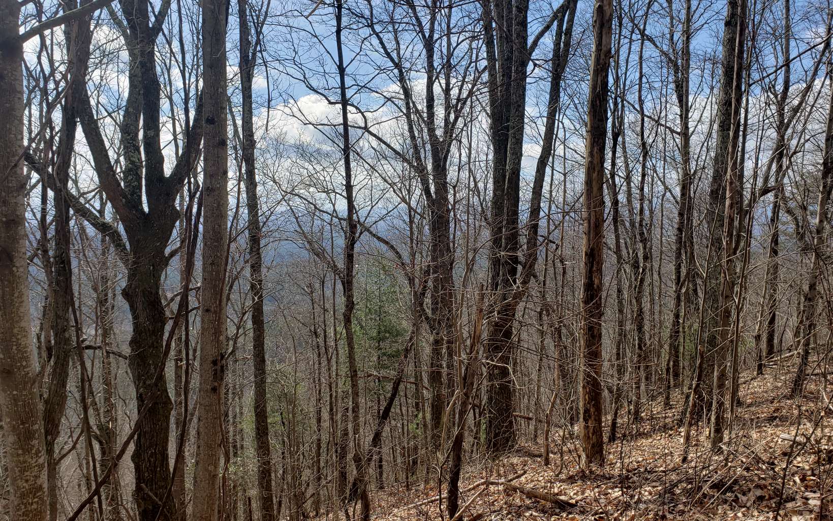 322640 Copperhill Land