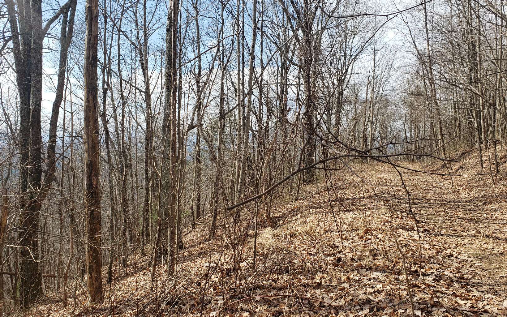 322640 Copperhill Land