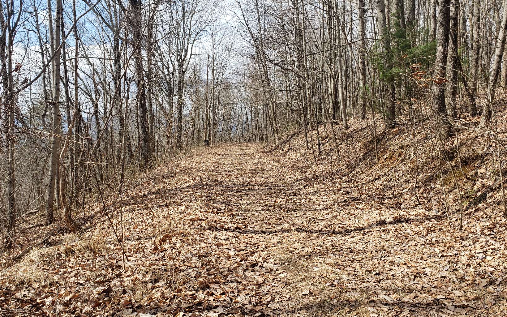 322640 Copperhill Land