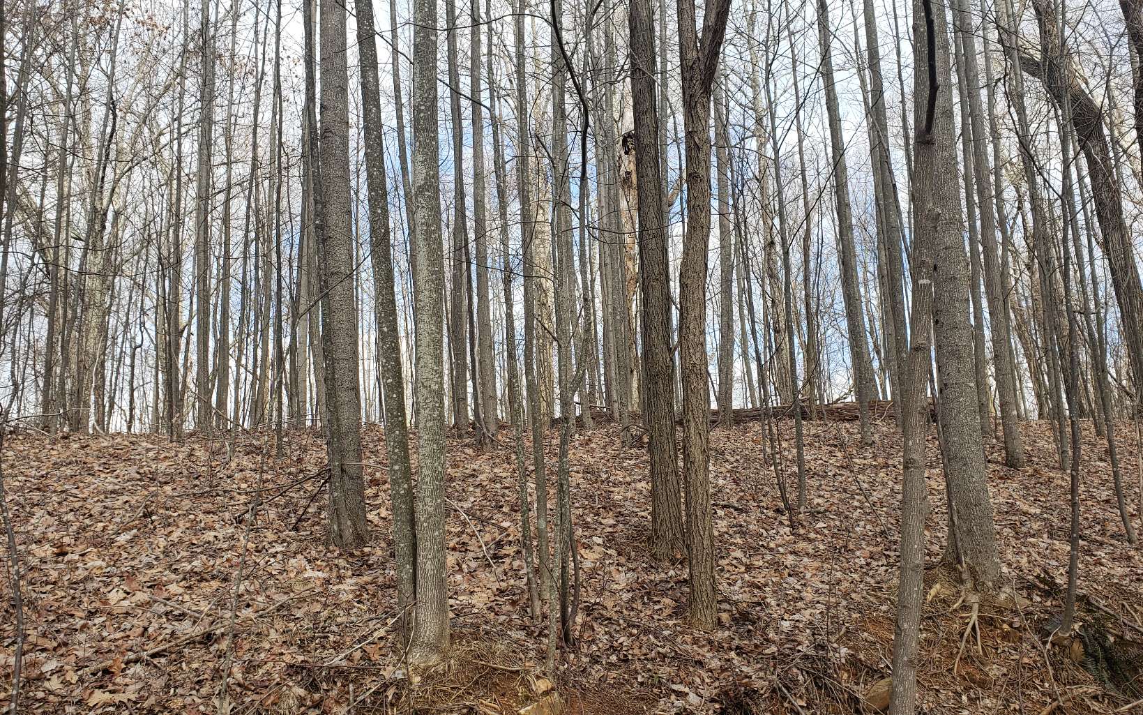 322640 Copperhill Land