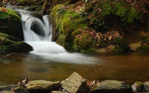325053 Hayesville Land