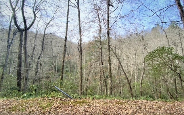 325053 Hayesville Land