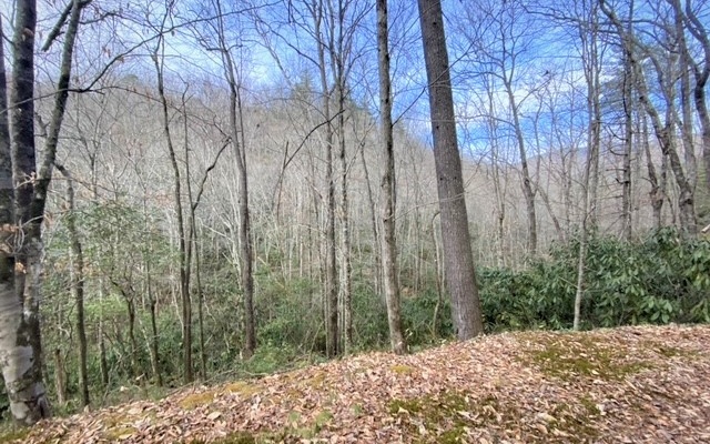 325053 Hayesville Land