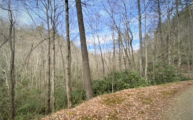 325053 Hayesville Land