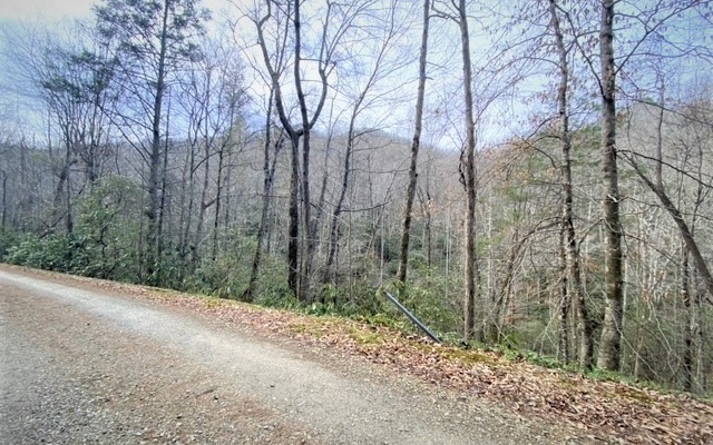325053 Hayesville Land