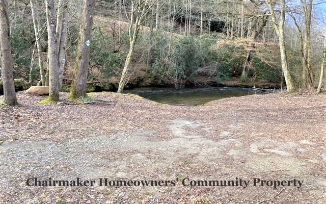 325053 Hayesville Land