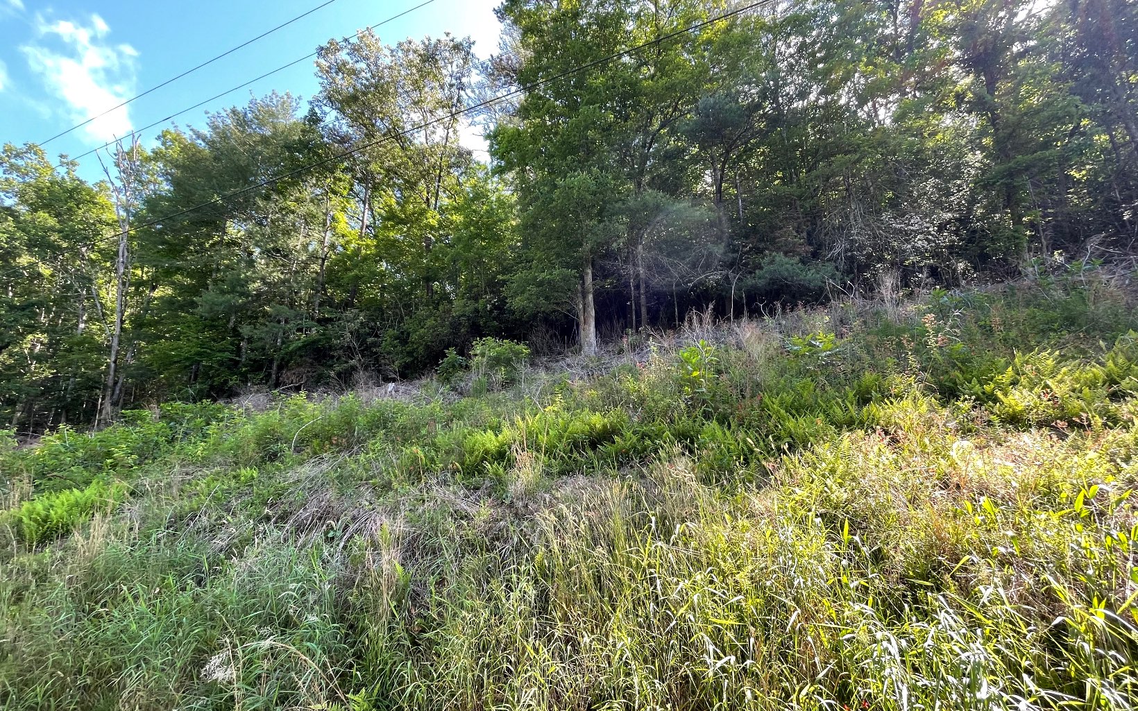 325479  Vacant Lot