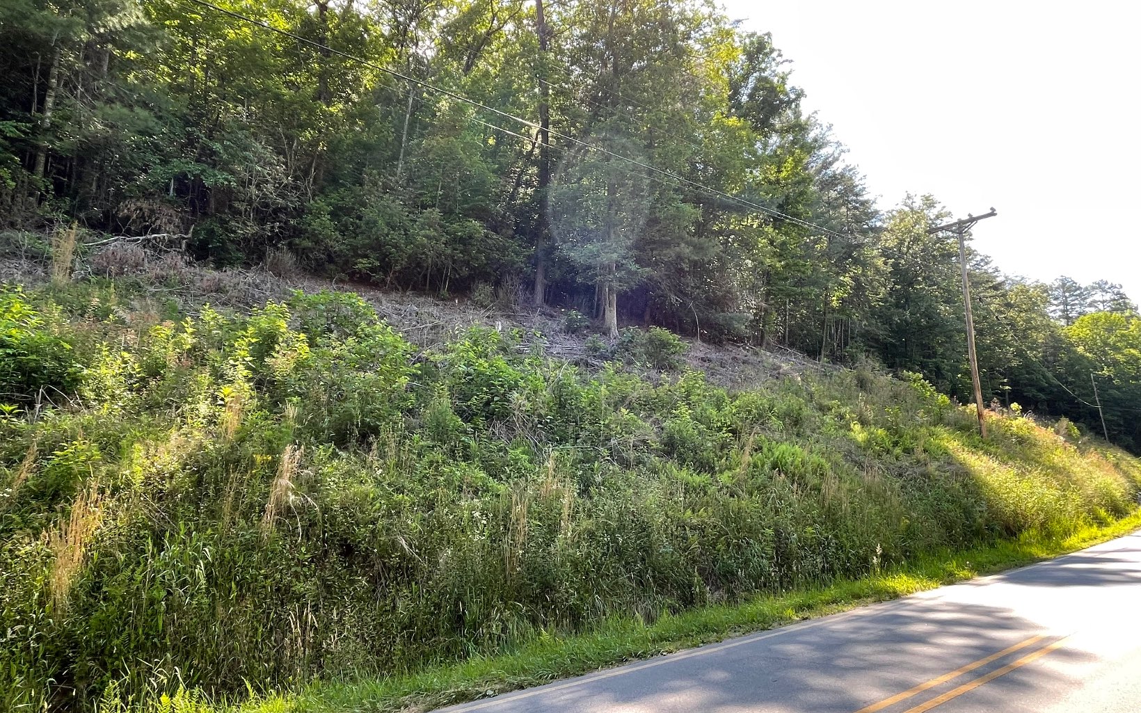 325479 Hayesville Land