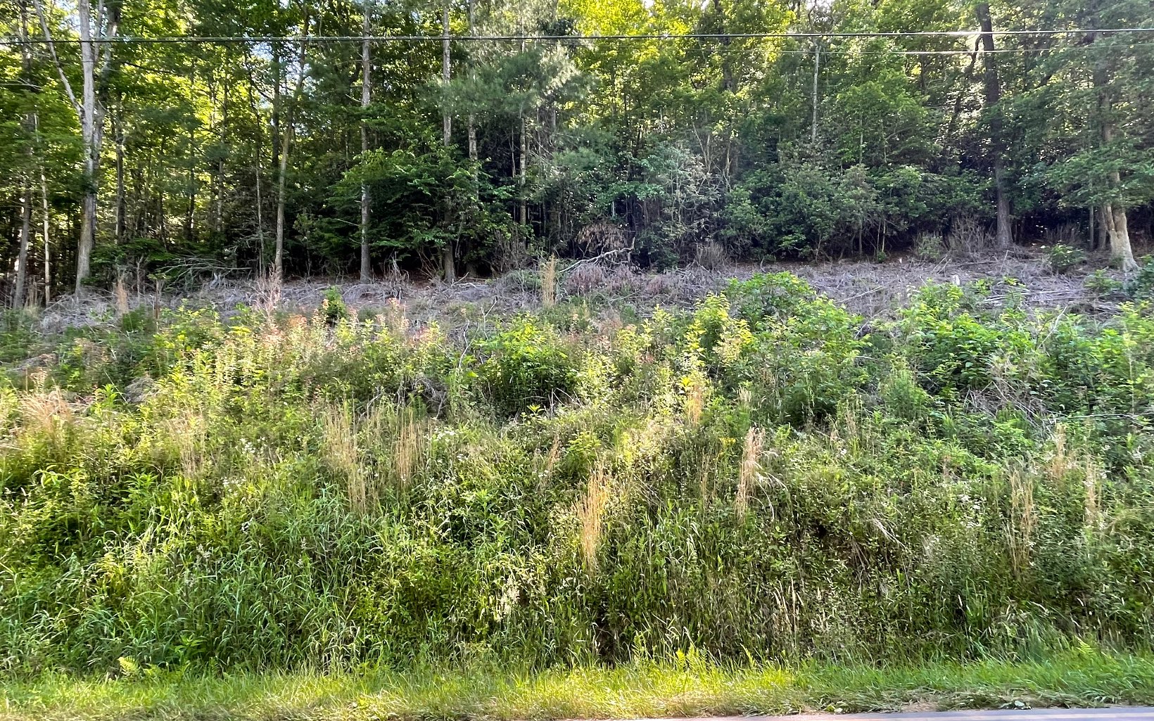 325479 Hayesville Vacant Lot