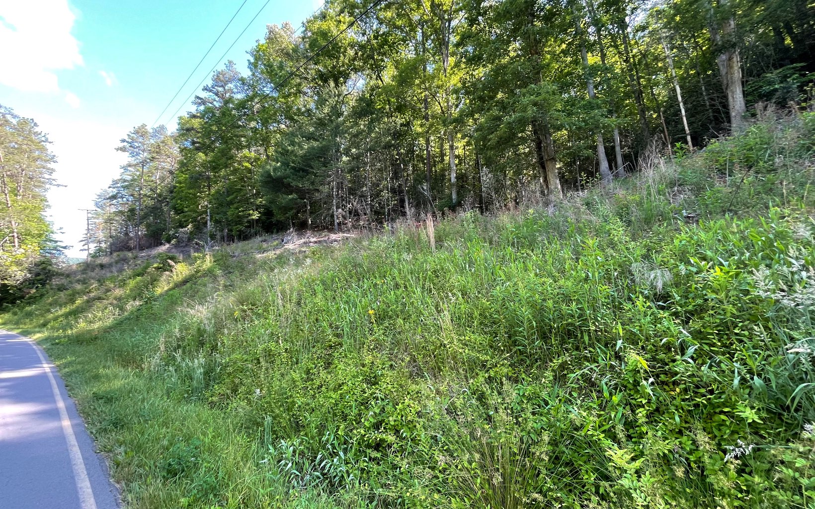 325479 Hayesville Vacant Lot