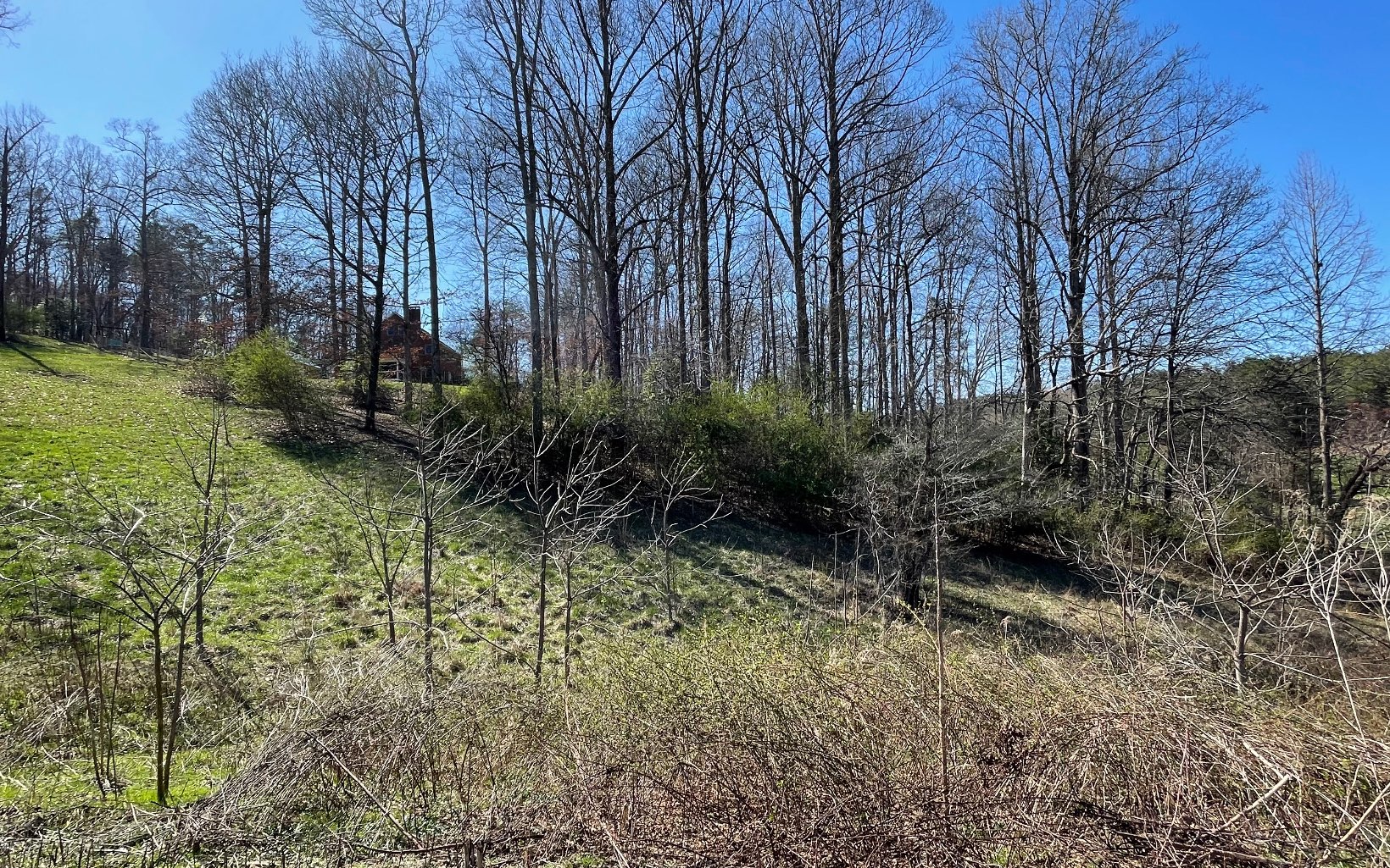 325702 Blairsville Land