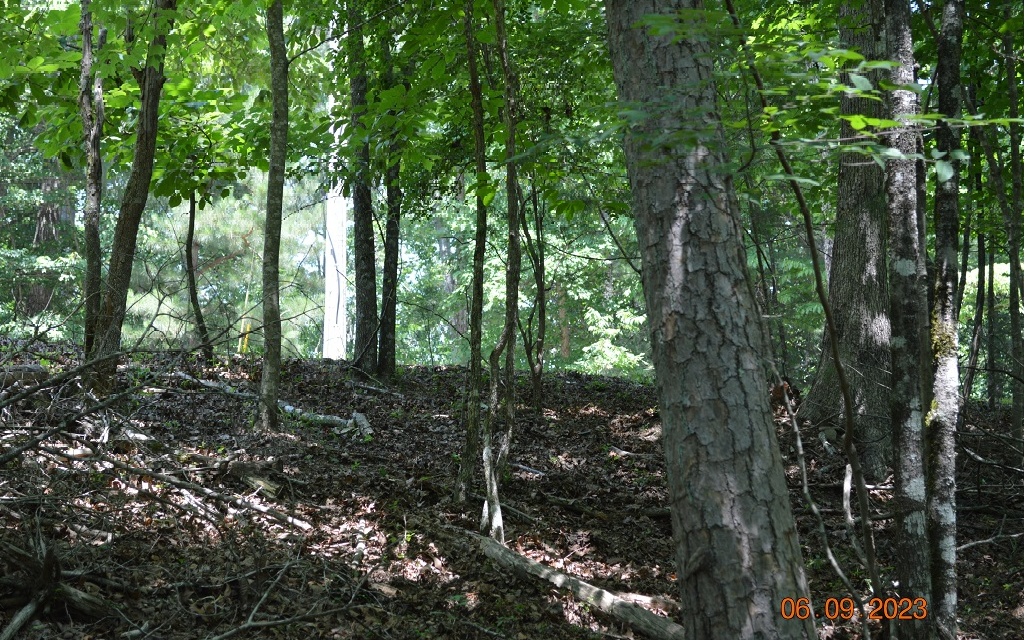 325816 Ellijay Land