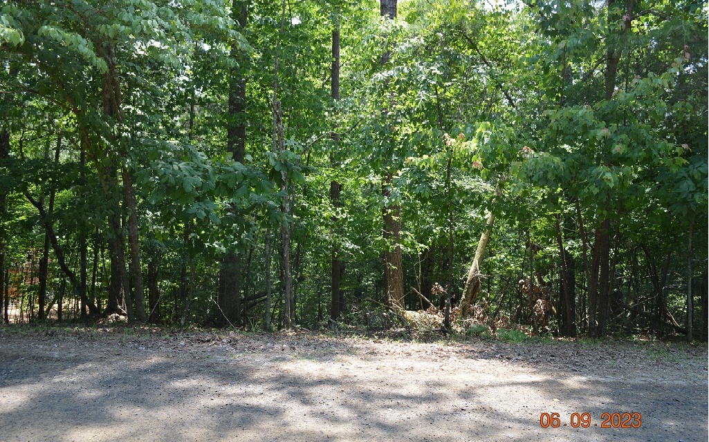 325816 Ellijay Vacant Lot