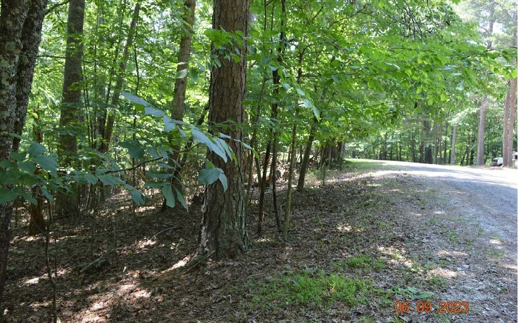 325816 Ellijay Vacant Lot