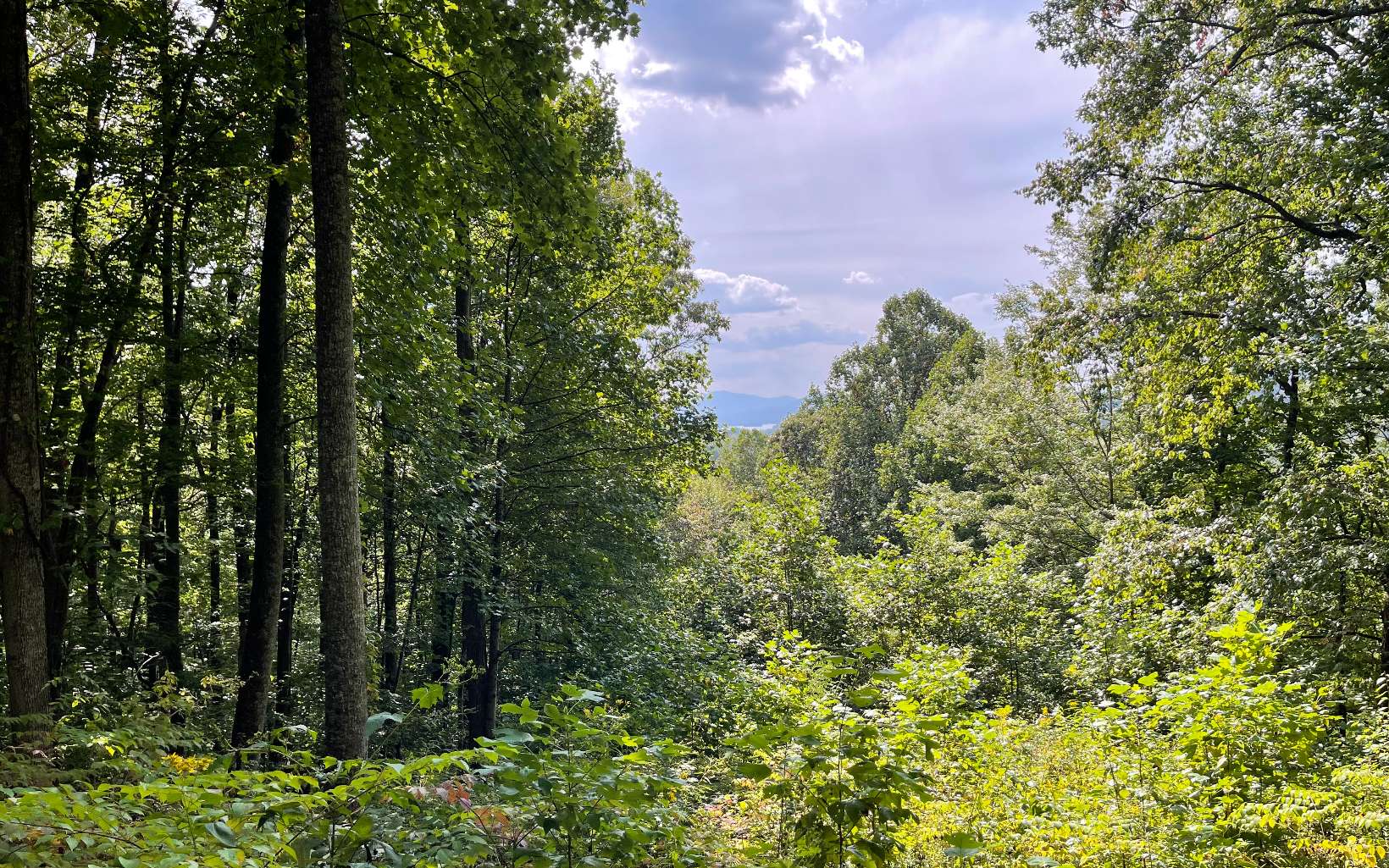 325952 Hayesville Land