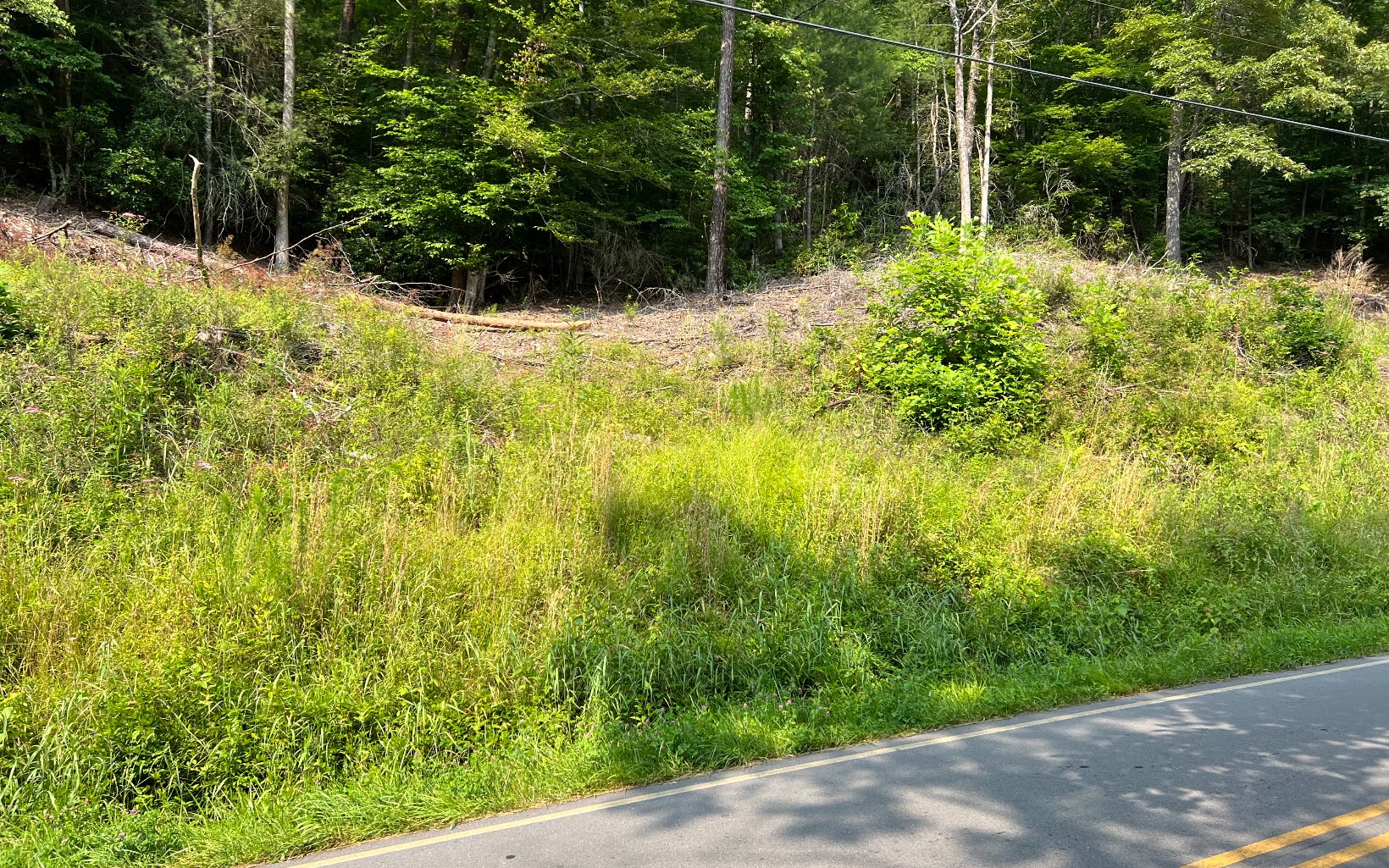 326039 Hayesville Vacant Lot