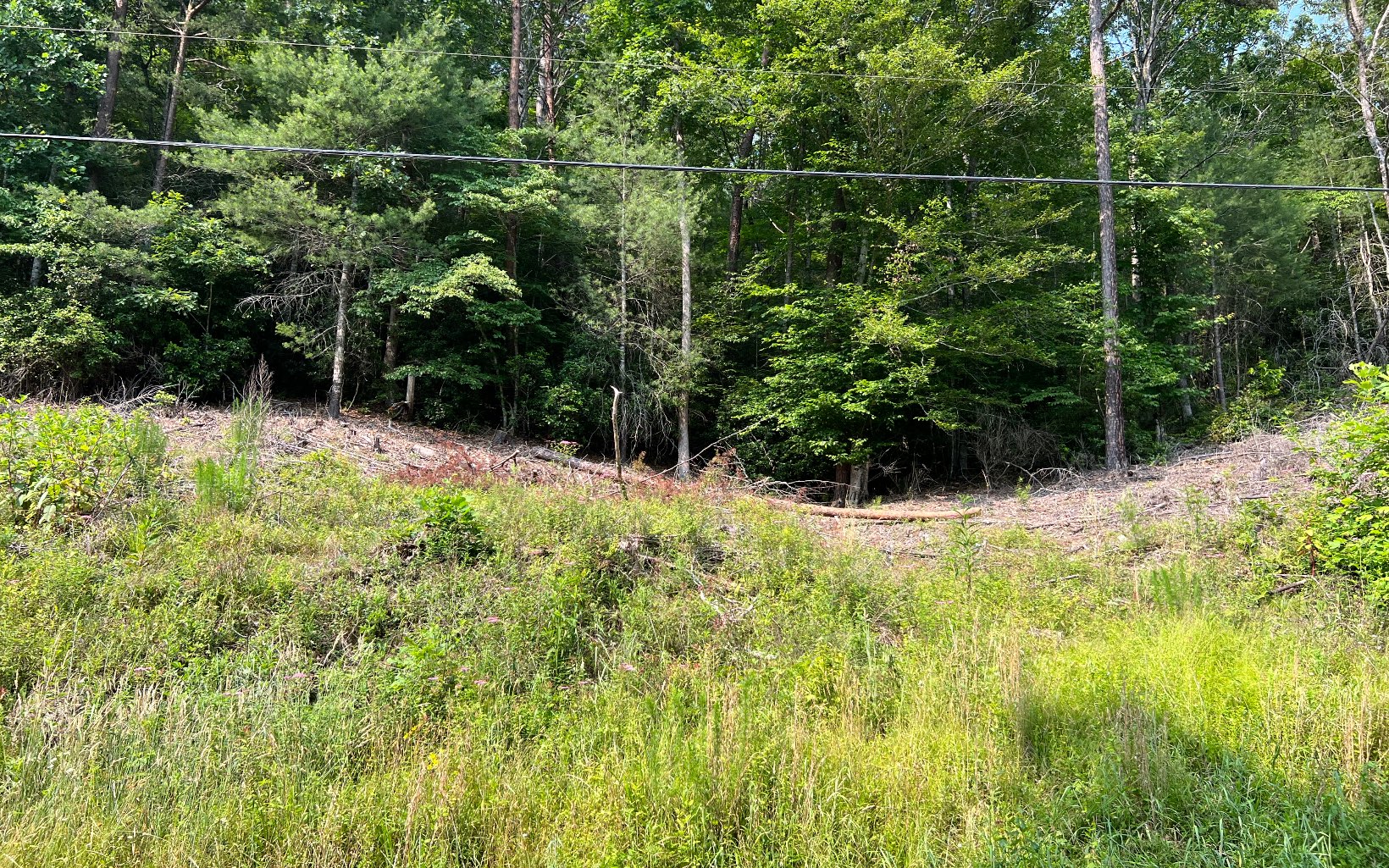 326039 Hayesville Vacant Lot